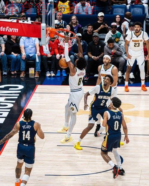 掘金击败鹈鹕!约基奇超级大三双 沃特森狂砍32分 掘金击败鹈鹕!约基奇超级大三双 沃特森狂砍32分